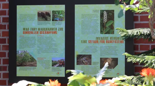 Ausstellungstafeln im Subtropenhof